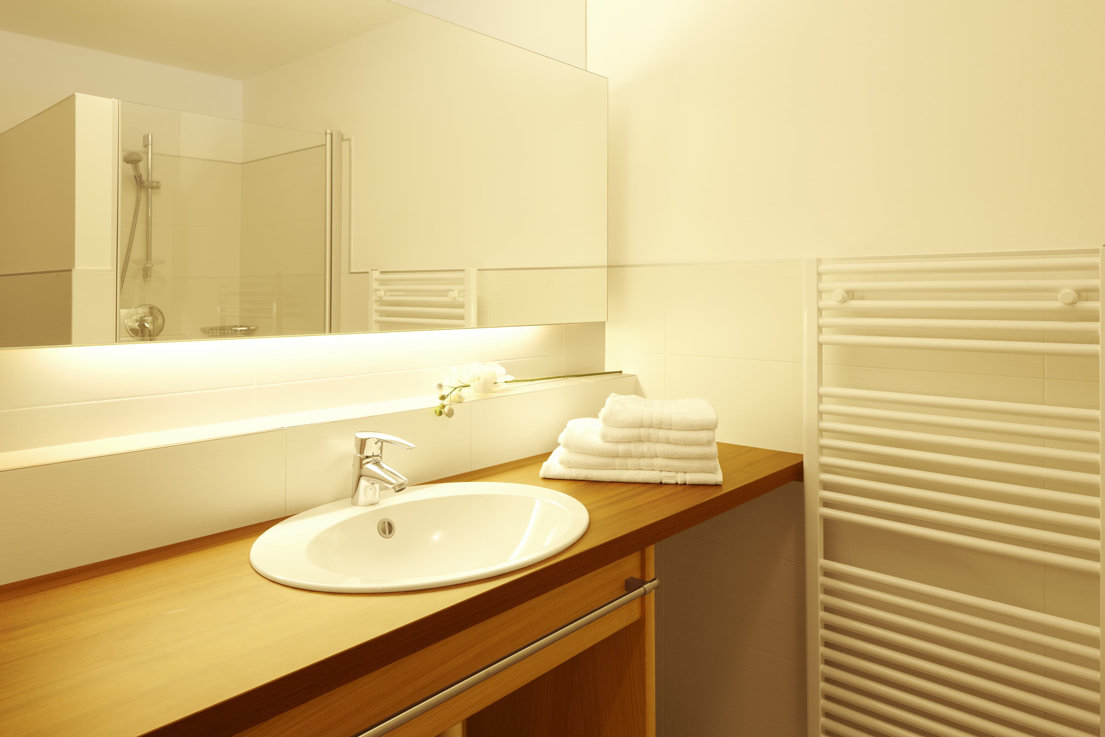 Bathroom Shower Washbasin Apartement Type A Living Residence Lechner