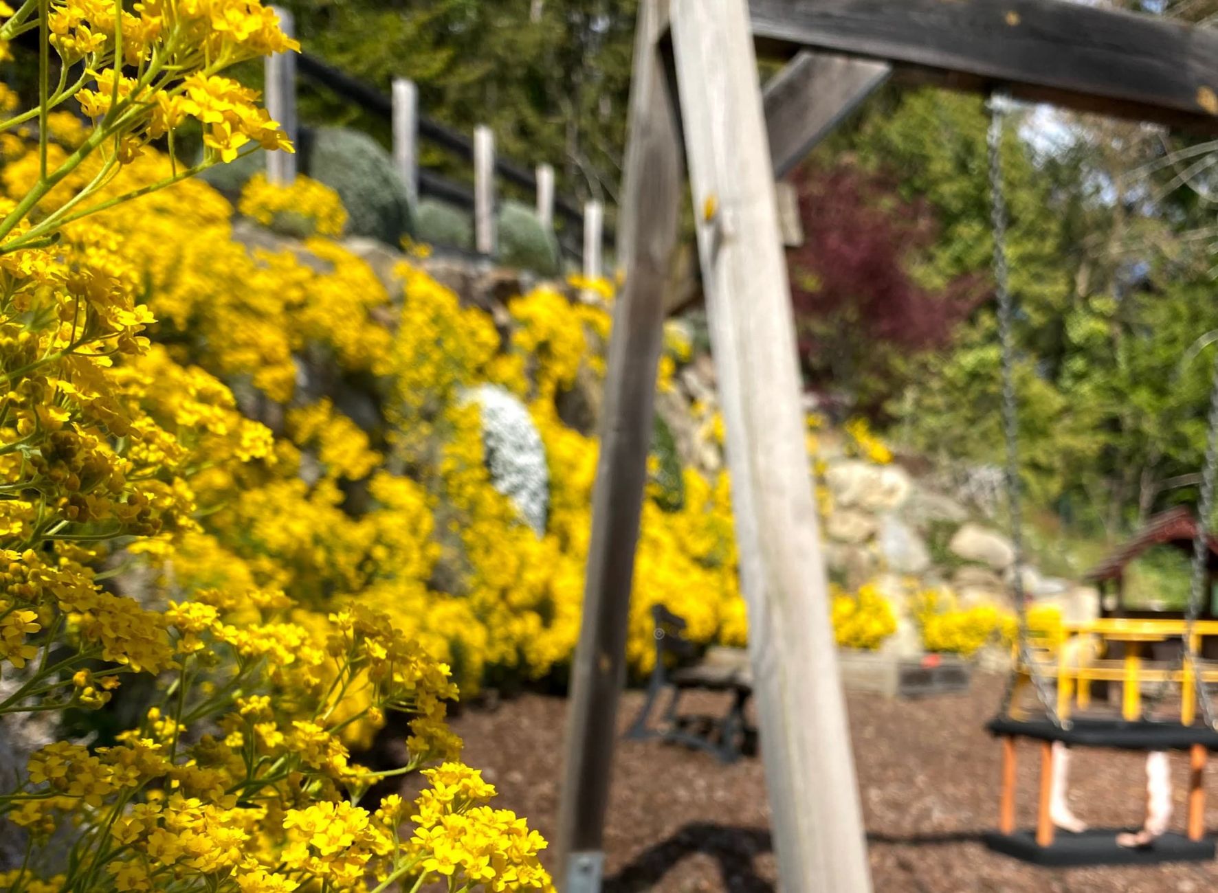 Large children's playground Children's family holiday Residence Lechner Merano and environs