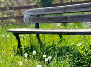 Lawn Garden Flowers Relax Bench Relax Holiday Residence Lechner Dorf Tirol